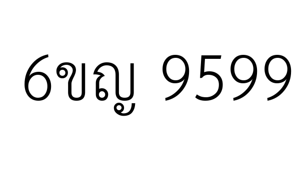 6ขญ 9599